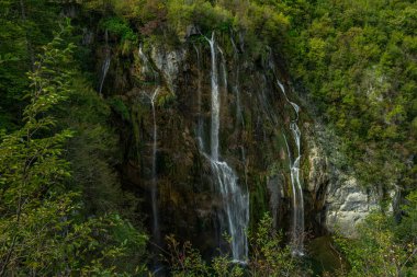 Bahar doğasında güzellik, ormanda inanılmaz şelale. Şelale ve gölet. Güzel panoramik derin orman şelalesi. Yeşil ormanlı şelalelere güzel bir manzara. Şelalenin sakin suları