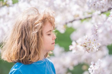 Bahar kiraz çiçeği parkındaki çocuk. Mutlu bir çocukluk. Bahar tatili. Bahar bahçesindeki sevimli çocuk. Çiçek açan bir ağacın altında küçük şirin bir çocuk. Bahar bahçesinde güzel bir çocuğun portresi.