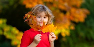 Sonbahar parkında ağaçların yanında yaprağı olan sevimli bir çocuğun portresi. Sonbahar parkında bir çocuk. Sarı yapraklı küçük kız. Çocuk altın yapraklarla oynuyor. Güneşli bir Ekim gününde, bir akçaağacın altında küçük bir çocuk.