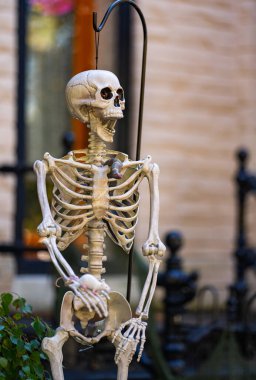 Cadılar Bayramı iskelet süslemeleri. Dekorasyon için cadılar bayramı iskeleti. Bir Amerikan evinin ön bahçesinde dekore edilmiş korkunç bir iskelet. Şeker mi şaka mı? Cadılar Bayramı iskelet arka planı