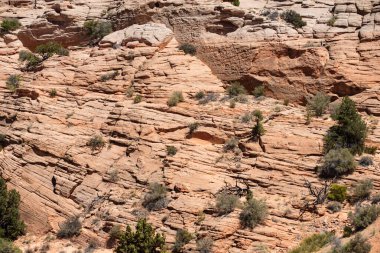 Çöl Vadisi. Kaya kanyonu arka planı, kayalık dokusu. Kanyonun kızıl kayası. Arizona ve Utah Çölü
