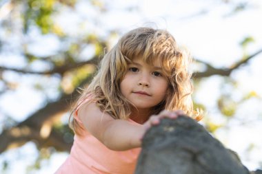 Child climbing a tree. Happy young boy play in summer garden. Kid on a tree with big branch