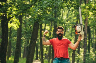 Ormanda baltalı ya da elektrikli testere kullanan bir oduncu. Tahta testereyle ormanda duran oduncu.