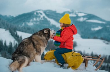 Kış dağında köpeğiyle kızak kayan çocuk, güzel bir kış parkında kızakla gezintiye çıkıyor.