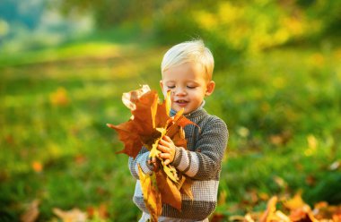 Sonbahar Çocuk Portresi Sonbahar Sarı Yaprakları. Sarı Park 'ta küçük bir çocuk, sarı yapraklı.