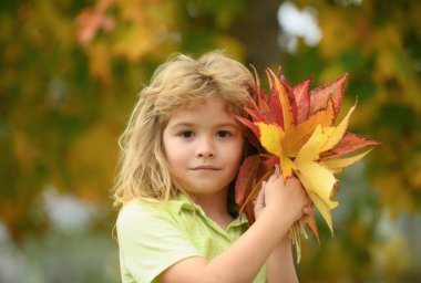 Autumn Child portrait in fall yellow leaves. Little kid boy play with maple leaf in autumnal park outdoor. October season, romantic kids dream