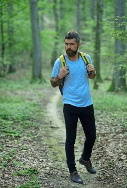 Yürüyüş yapan bir yürüyüşçü. Erkek yürüyüşçü ormanda yürüyor. Doğada beyaz erkek modeller var. Boş zaman aktiviteleri. Seyahat yaşam tarzı konsepti, açık havada aktif macera tatili