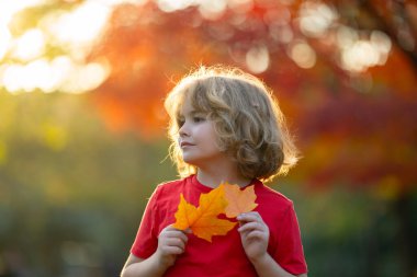 Bahçedeki yaprak yığınında yatan mutlu çocuk portresi. Çocukluk, sonbahar ve eğlence. Sarı sonbahar yapraklı çocuk portresi. Çocuklar sonbahar parkında oynarlar. Sonbahar yeşilliği