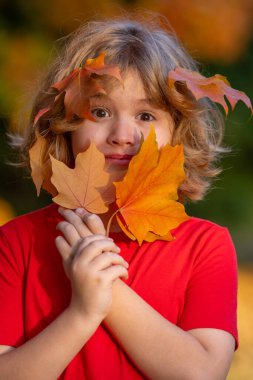 Gülünç çocuk portresi sonbahar parkında sonbahar yaprağı çalıyor. Sonbahar parkında bir çocuk. Sarı yapraklı küçük kız. Çocuk sonbahar yapraklarıyla oynuyor. Güneşli bir sonbahar gününde, akçaağacın altında küçük bir çocuk.