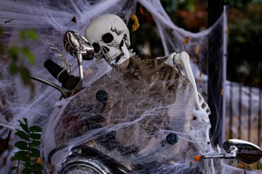 Cadılar Bayramı süslemeleri. Cadılar Bayramı balkabağı ve dekore edilmiş ev için iskelet. Bir Amerikan evinin ön bahçesinde dekore edilmiş korkunç bir şey. Şeker mi şaka mı? Cadılar Bayramı geçmişi. Cadılar Bayramı 'nın sonbahar tatili