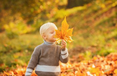 Sonbahar parkında sarı yapraklı çocuk, sarı yapraklı.