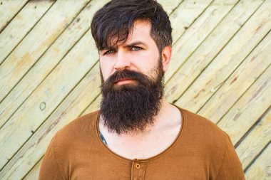 Yakışıklı adamın portresi. Hippi bir modelin vesikalık fotoğrafı. Erkek yüzü. Sakallı yakışıklı adam. Kendine güvenen erkek model. Adam gururlu görünüyor. Çekici bir adamın yakın çekim yüzü. Sakal ve bıyık.