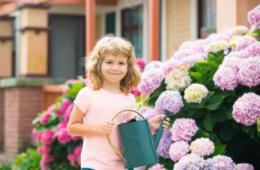 Güneşli yaz gününde bahçedeki çiçekleri sulayan tatlı çocuk. Bahçede bahçe aletleri olan küçük bir çocuk.