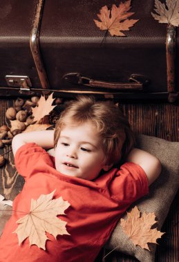 Sarışın, küçük bir çocuk, sonbahar yapraklarında, midesinde yaprak, ahşap zeminde yatıyor. Küçük çocuk sıcak bir sonbaharın sıcak battaniyesinde yatıyor. Sonbaharda oynayan çocuk