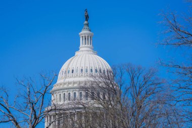 Washington D.C. Kongre Binası. Kongre. Amerikan Kongre Binası. Birleşik Devletler Başkenti. Washington, ABD simgesi. Yargıtay. Washington anıtı. Washington Şehri