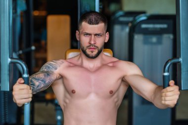Handsome man preparing for workout. Sport. Weight workout. Guy doing bodybuilding workout in gym. Sport, bodybuilding and fitness. Man exercising with dumbbell. Hard workout
