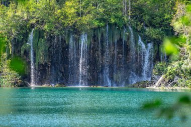 Hırvatistan 'daki Plitvice Gölleri Ulusal Parkı' ndaki ormanın derinliklerindeki göl. Plitvice 'nin güzel şelaleleri. Şelalelerin egzotik doğası