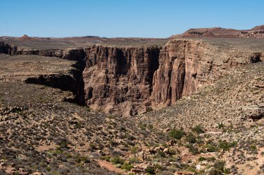 Canyon Ulusal Parkı. Çöl dağı manzarası. Meşhur Amerikan yürüyüş yeri. Kaya kanyonu panoramik manzara