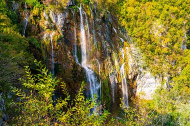 Hırvatistan 'daki Plitvice Göllerinde Güzel Şelale. Ormandaki şelaleler. Yaz manzaralı güzel şelaleler ve berrak göl. Plitvice Lakes Ulusal Parkı, Hırvatistan. Yaz doğa manzarası