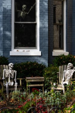 Cadılar Bayramı süslemeleri. Cadılar Bayramı balkabağı ve dekore edilmiş ev için iskelet. Bir Amerikan evinin ön bahçesinde dekore edilmiş korkunç bir şey. Şeker mi şaka mı? Cadılar Bayramı geçmişi. Cadılar Bayramı 'nın sonbahar tatili