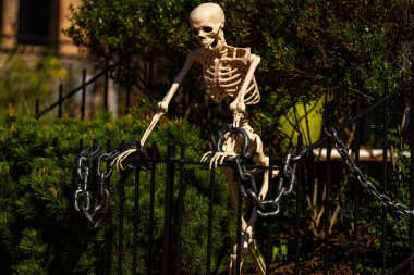 Cadılar Bayramı süslemeleri. Cadılar Bayramı balkabağı ve dekore edilmiş ev için iskelet. Bir Amerikan evinin ön bahçesinde dekore edilmiş korkunç bir şey. Şeker mi şaka mı? Cadılar Bayramı geçmişi. Cadılar Bayramı 'nın sonbahar tatili