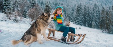 Örgü şapka, atkı ve süveter giyen mutlu küçük çocuğun portresi. Köpekli çocuk kızakla gezmekten zevk alıyor. Dışarıda karda kızakla kayan bir çocuk. Kış örgü çocuk kıyafetleri.