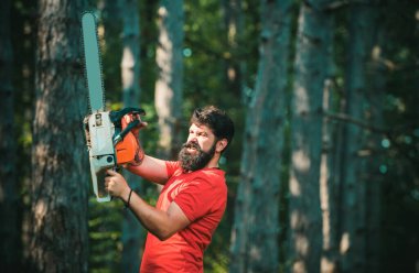 Oduncu işçi ormanda elektrikli testereyle yürüyor. Ormanda elektrikli testere tutan profesyonel bir oduncu. Yasadışı kütükleme bugün de devam ediyor. Elinde elektrikli testereyle oduncu