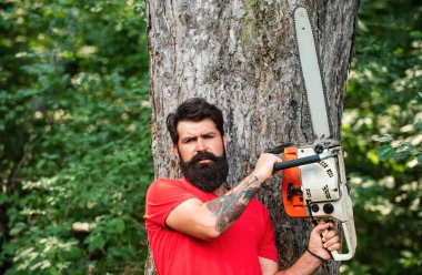 Ormanda elektrikli testere tutan profesyonel bir oduncu. Ormanda baltalı ya da elektrikli testere kullanan bir oduncu. Tarım ve ormancılık teması. Kereste hasadı