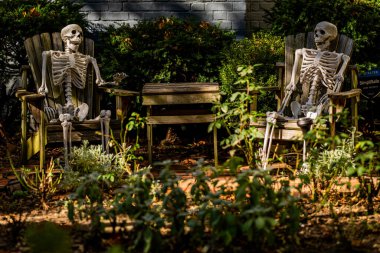 Şükran Günü tatili Cadılar Bayramı süslemeleri. Cadılar Bayramı balkabağı ve dekore edilmiş ev için iskelet. Bir Amerikan evinin ön bahçesinde dekore edilmiş korkunç bir şey. Şeker mi şaka mı? Cadılar Bayramı geçmişi
