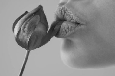 Seksi dudaklar. Çiçekli doğal dudaklar. Oral seks. Seksi kadın ağzı, makro dudak. Şehvetli bir kavram. Seksi dudaklarını gül çiçeğiyle kapat. Seksi ruj. Baştan çıkarma, arzu ve cinsel uyarılma kavramı