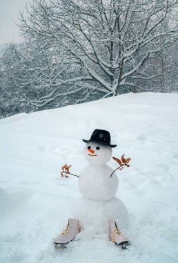 Kış şapkalı kardan adam beyefendisi. Kardan adam selamlıyorum. Karlı bir köyde sevimli kardan adam. Noel günü ışık yıldızı ile Kardan Adam.