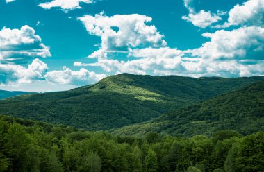 Scenic view of transcarpathia at summer. Nature beauty. Springtime landscape of mountain. Grassy field, rural scenery
