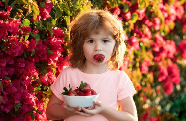 Mutlu çocuk yazın açık havada çilek yer.