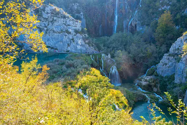 Hırvatistan 'daki Plitvice Göllerinde Şelale. Ormandaki şelaleler. Yaz manzaralı güzel şelaleler ve berrak göl. Plitvice Lakes Ulusal Parkı, Hırvatistan. Yaz doğa manzarası