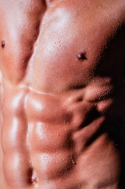 Altı kaslı kaslı kaslı adam. Mükemmel kaslar, omuzlar ve göğüs. Abs 'ı kapatın. Gövdeye yakın. Ab. Kaslı gövde ve yırtık karın kasları. Seksi kaslı erkek vücudu. Çıplak gövdeli bir adam karın kaslarını gösteriyor.