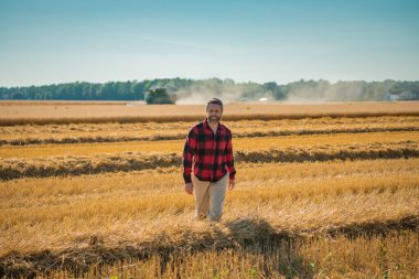 Çiftçi Buğday Denetliyor. Hasattan önce çiftçi ekin kulaklarının yanında. Büyüyen buğday tarlasında mutlu bir çiftçi. Tarım. Çiftlik tarım alanı konsepti. Buğday yetiştiren çiftçinin portresi