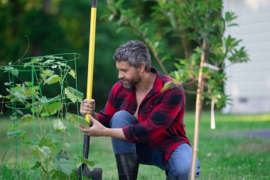Bahçıvan bahçede meyve ağacıyla ilgileniyor. Adam bitki dikiyor. Bahçedeki çiftçi. Meyve tarımı. Meyve ağacını sulayan adam. Organik yeşil tarlalar. Ağaçlar büyüyor. Çiftçi bakımı ağacı