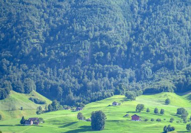 Dağlar ve ağaç arka planı. Dağlar manzaralı. Alp çayırları ve güzel dağlar. Orman geçmişi. Dağ manzarası. Dağın panoramik manzarası. Doğa arkaplanı