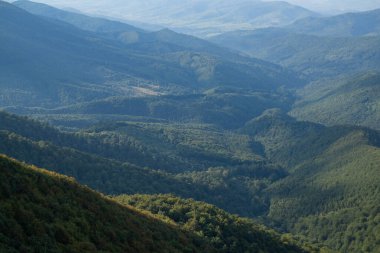 Karpat Dağları ve ağaç arka planı. Dağlar manzaralı. Alp çayırları ve güzel dağlar. Orman geçmişi. Dağ manzarası. Dağın turistik manzarası. Doğa arkaplanı
