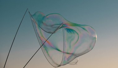 Soap bubbles with rainbow reflection.