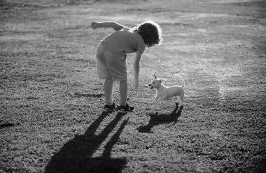 Dışarıda gezen köpeği olan sevimli bir çocuk.