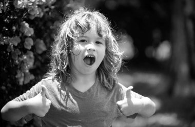 Küçük şirin bir çocuğun portresi. Başparmak işareti. Çocukların yazın tadını çıkarması, çocukların duygularını şaşkına çevirmesi..