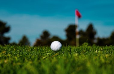 Golf topu yeşil sahada. Bahçedeki golf topu.