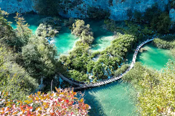 Ormandaki şelaleler göllere akıyor. Turistler Hırvatistan 'daki ünlü Plitvice parkını ziyaret ettiler. Dağ dereleri temiz suyla doludur. Bir yaz gününde Plitvice Göllerinin Şelaleleri