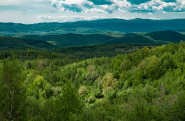 Seyahat arazisi. Tepe ya da dağ kenarı. Çimenli manzara. Doğadaki ahşap panorama