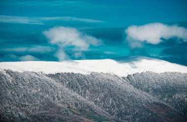 Kar, kış manzarasında dağlardaki ağaçları kapladı. Kış ormanı geçmişi. Soğuk ve karlı kış dağları