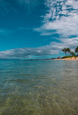 Yaz tatili, tropik bir sahil ve mavi denizin tatil geçmişi. Hawaii plajı