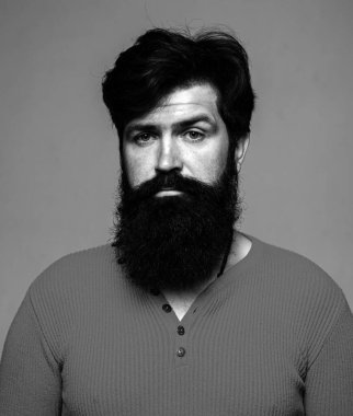 Berber dükkanında uzun sakallı ve bıyıklı bir berber. Sakallı adam. Gri arka plandaki yakışıklı genç adam kameraya bakıyor.