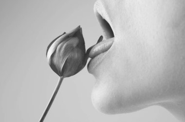 Şefkat lalesi. Laleli yumuşak doğal dudaklar. Şefkat seksi kadın ağzı. Şefkat ve şefkat. Lale çiçekli güzel narin dudaklar. Spa ve kozmetik ürünleri. Şefkat dokunuşu