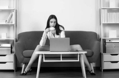 Ofisinde fincan kahvesiyle baştan çıkarıcı seksi sekreter. Seksi iş kadını ya da dizüstü bilgisayarlı sekreter beyaz takım elbiseli ve dekolte koltukta oturuyor. Genç muhasebeci kadının seksi uzun bacakları.